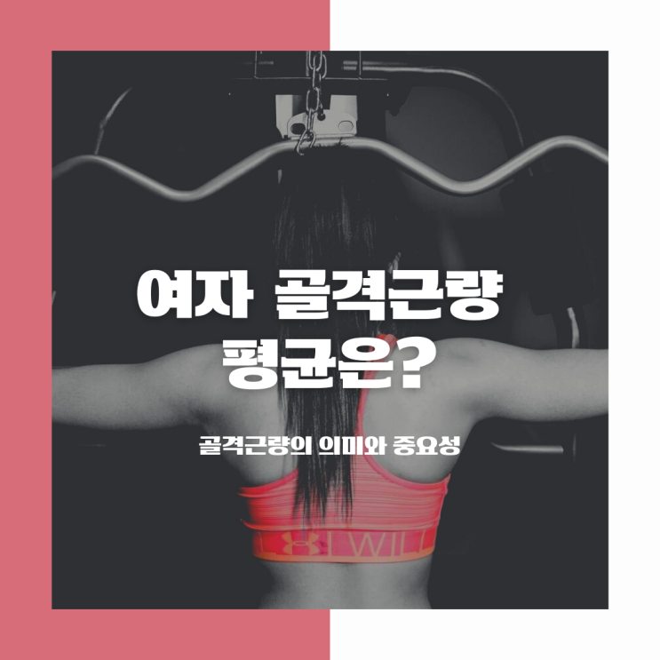 여자 골격근량 평균은? 운동 5개월차 인바디 결과로 골격근량의 의미와 중요성 알아보기