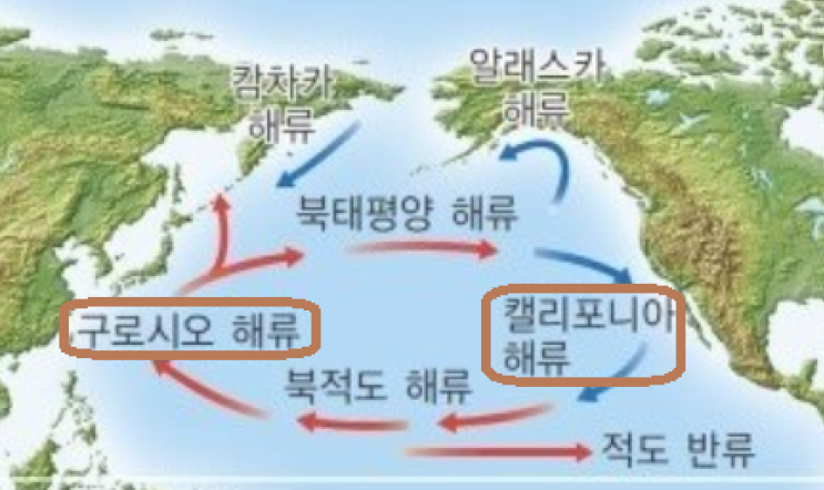  해수의 표층 순환과 환류