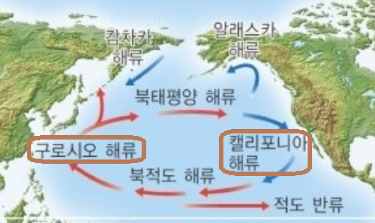 해수의 표층 순환과 환류