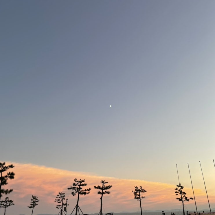  21.09.12 오늘 산 후기