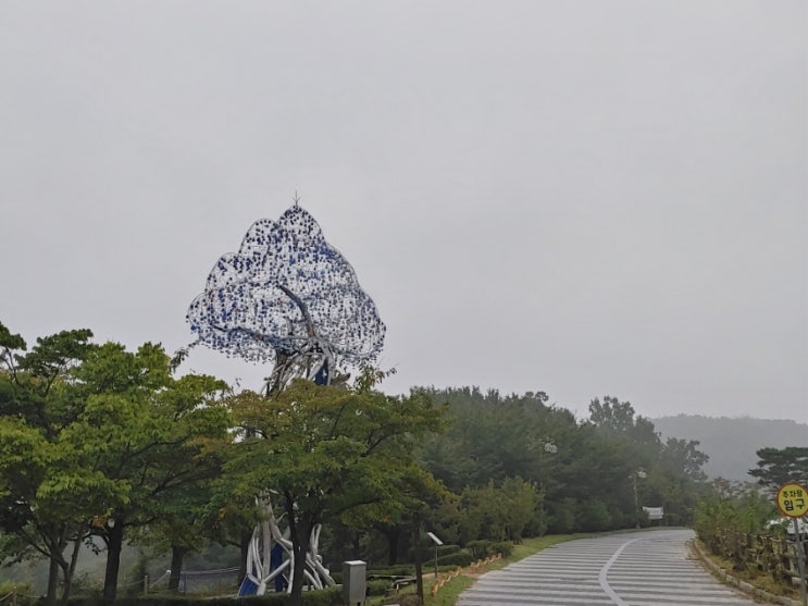 오늘 아침 안개자욱한 설봉산