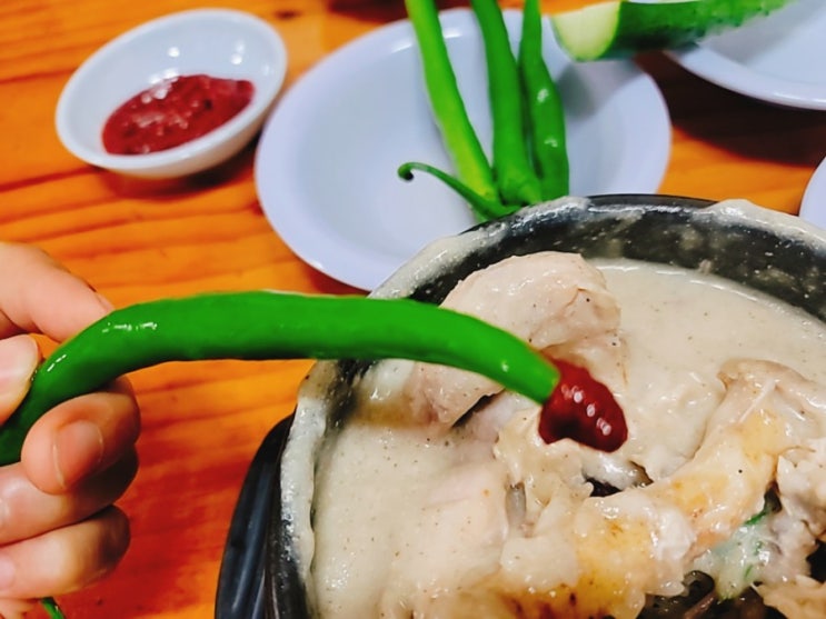  신풍역 맛집 서울 3대 삼계탕이라는 호수삼계탕 솔직후기