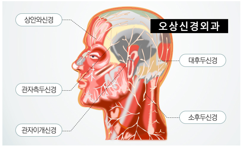 오른쪽과 왼쪽 관자놀이가 아픈 이유는 뭘까? 관자놀이 두통의 원인