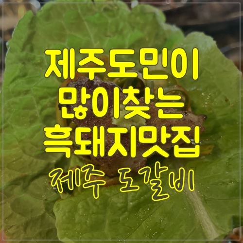  아무한테도 알려주고 싶지 않은 제주 도갈비