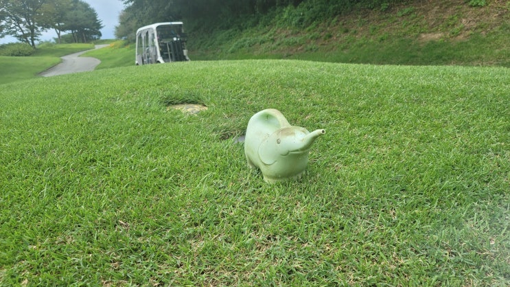  안성베네스트cc 라운딩 후기 및 모바일체크인 방법