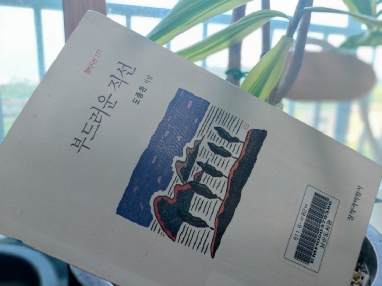 나무 나무들은 아름답다 부드러운 직선 도종환 나무 나무들은 아름답다 부드러운 직선 도종환