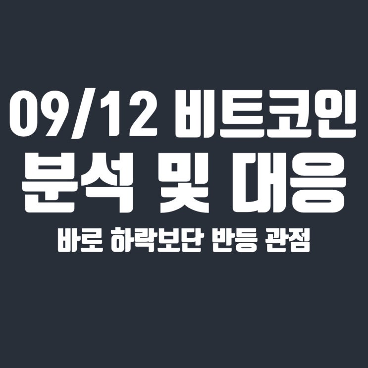  9월 12일 비트코인 선물거래 분석 및 대응, 단기 반등 관점