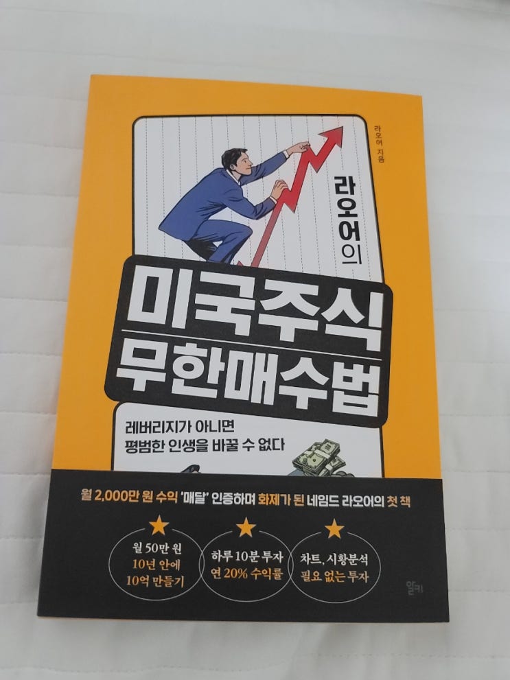  개초보 주린이의 미국주식 투자하기 - 라오어 무한매수법