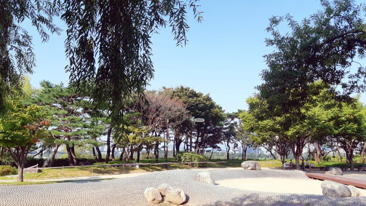 선유도 공원에서 여유롭게 시간을 때우다가 왔다. 선유도 공원에서 여유롭게 시간을 때우다가 왔다.