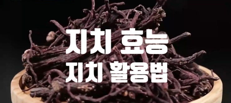  지방간 피부 염증 지치 효능 (ft. 지치 차 물김치 만들기) 하루 섭취 권장량