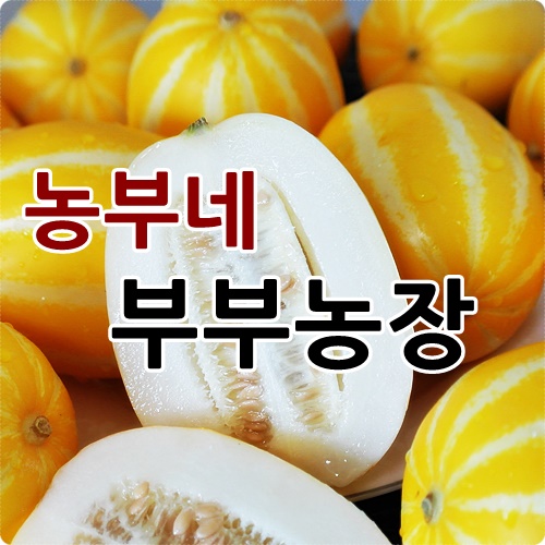 후기가 좋은 농부네 부부농장 성주참외 2kg 5kg 10kg 산지직송, 10.참외 10kg 가정용 비품B 소과(박스포함) 추천해요