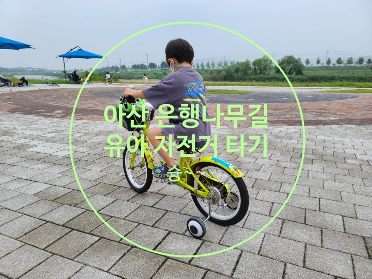  아산 은행나무길 산책 아이와 가볼만한곳 자전거 대여 재미나게 타자
