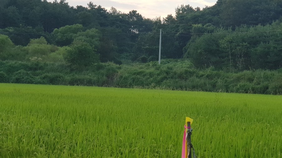 집너머골 사진 6