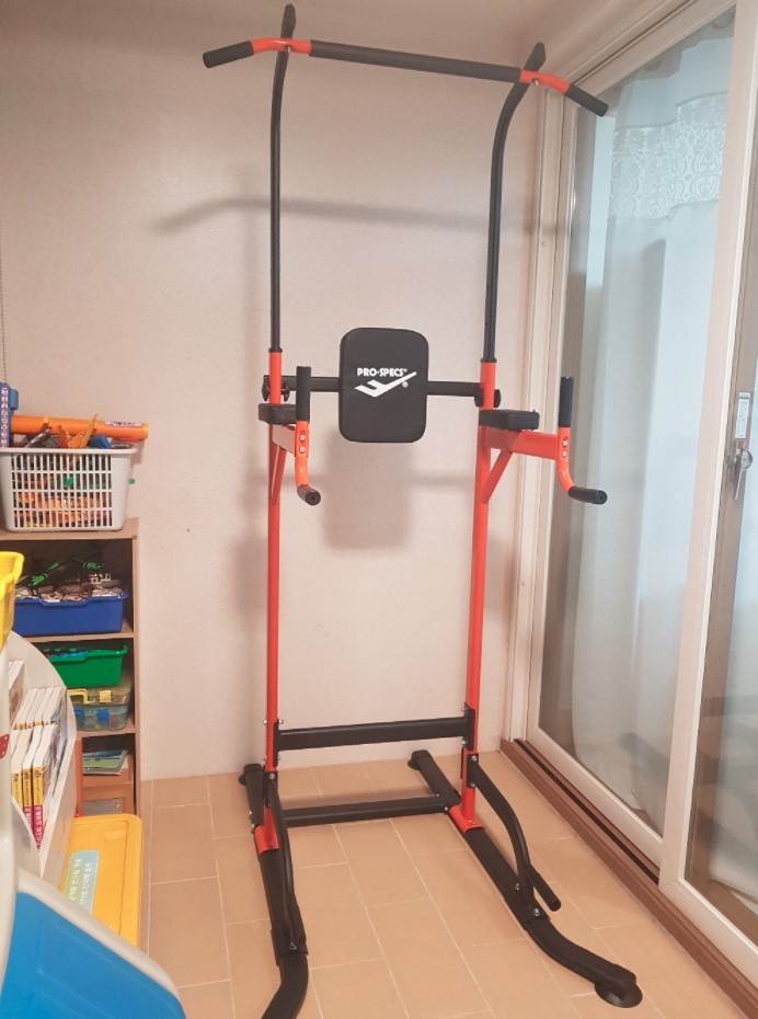  치닝머신 추천, 프로스펙스 노블레스 치닝디핑 사용기 Prospecs Nobless Chinning dipping machine