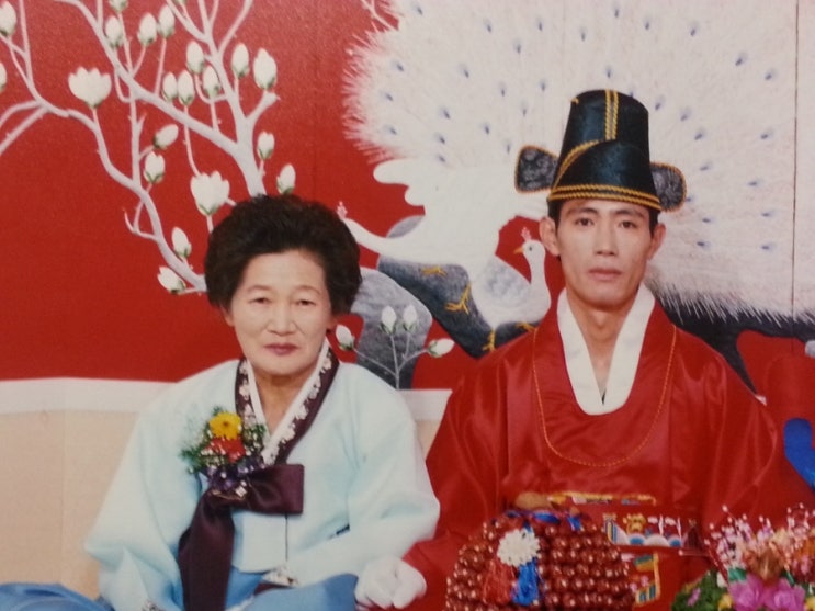 금사빠? 은사빠? 금사빠? 은사빠?