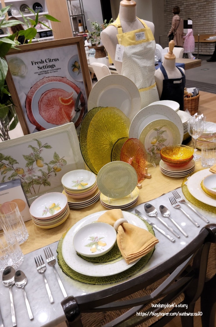  유럽 감성을 담은 주방 편집숍, 윌리엄스 소노마(Williams Sonoma)
