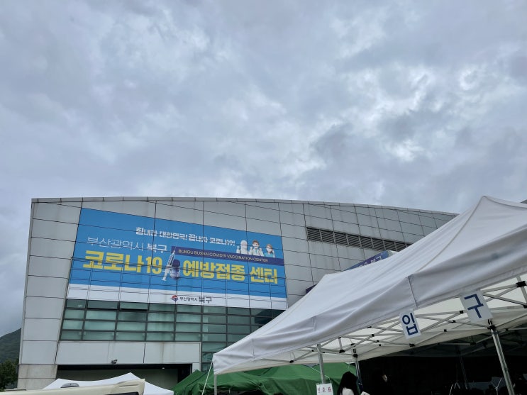 다사다난했던 요니의 9월 초 일상 다사다난했던 요니의 9월 초 일상
