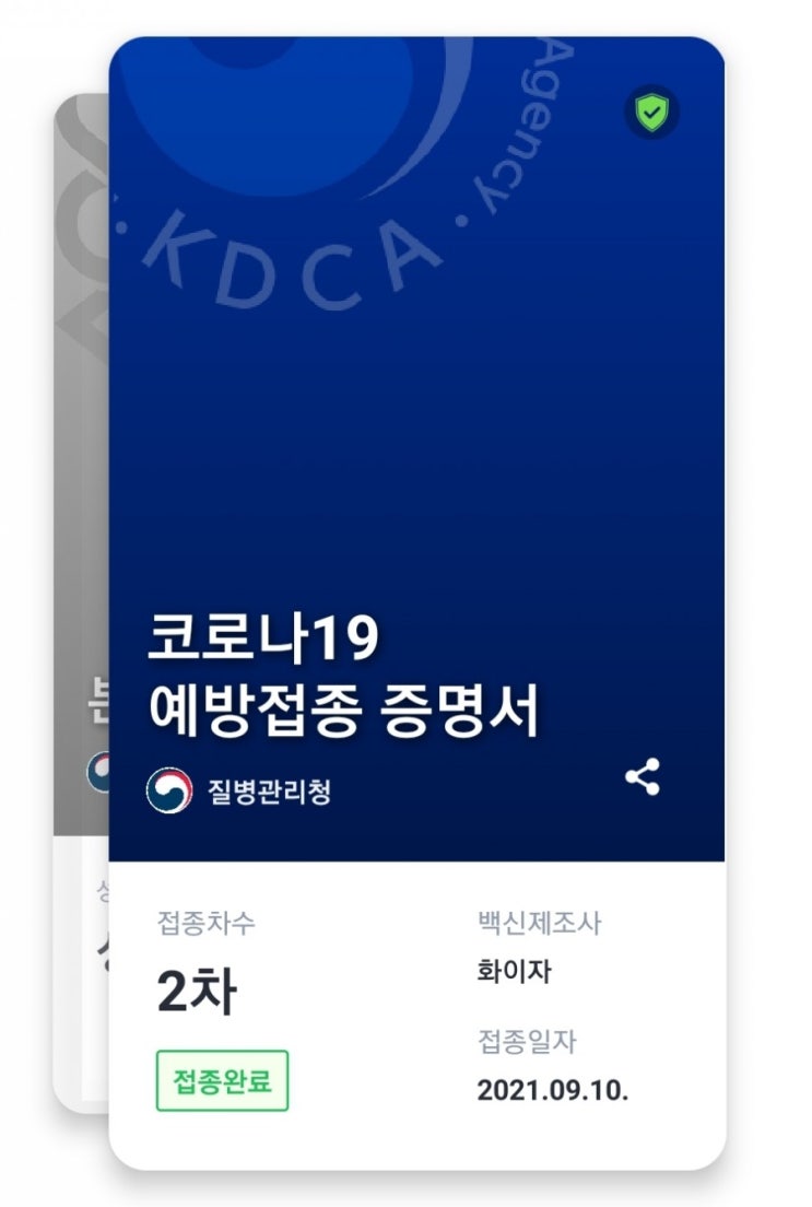  30대 화이자 2차 접종 후기(5주 간격) : 접종 후 시간별 증상