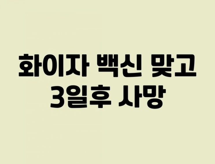  화이자~2일차 20시간 기절모드