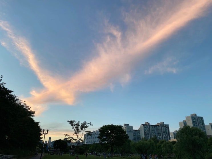  21.09.13 1년 전 하늘
