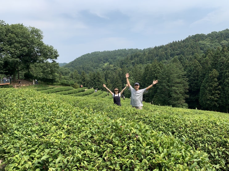  [1박 2일 보성 여행 코스] 1탄) 마더코클/코클맨션/모리씨빵가게/대한다원보성녹차밭/춘운서옥/득량역추억의거리/율포솔밭해수욕장/스테이모든날