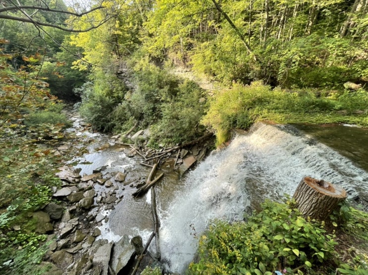  토론토 근교에 작은 폭포와 오래된 기찻길이 있는 트레일 Smokey Hollow Waterfall Trail