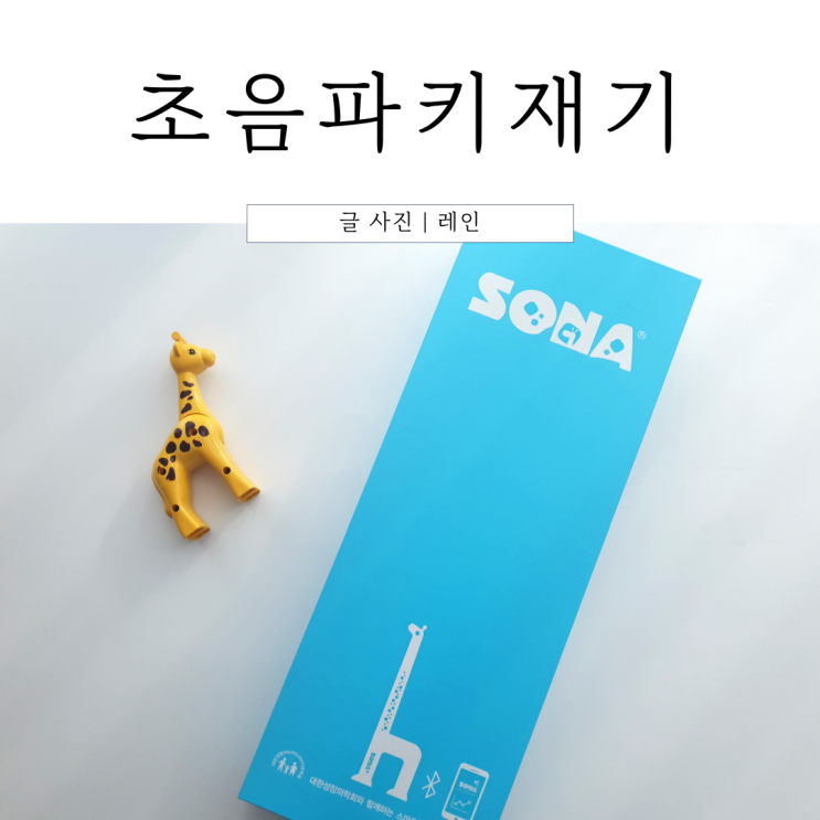  초음파 키재기 아기 성장 기록 w.소나