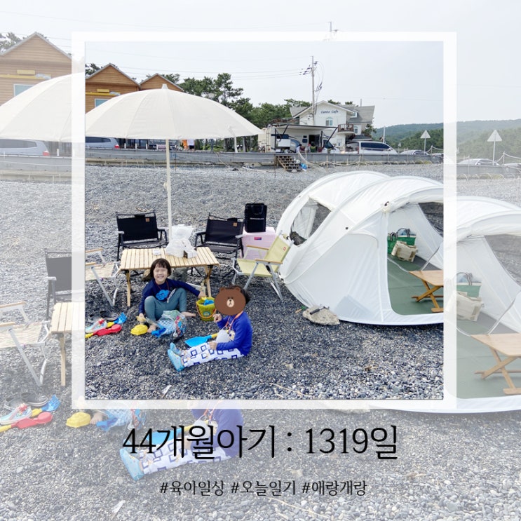  1319일, 울산 몽돌해변 다녀왔어요