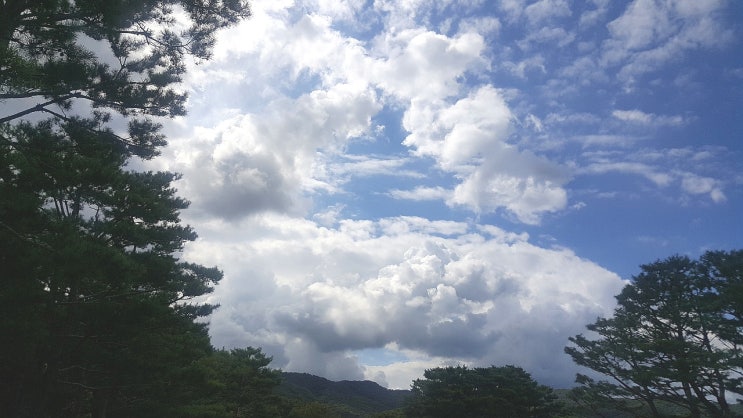 압구정공원도산공원안창호선생님보고옴