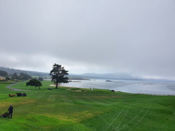  17마일 드라이브.Pebble Beach 9.12, Lone cypress 9.25
