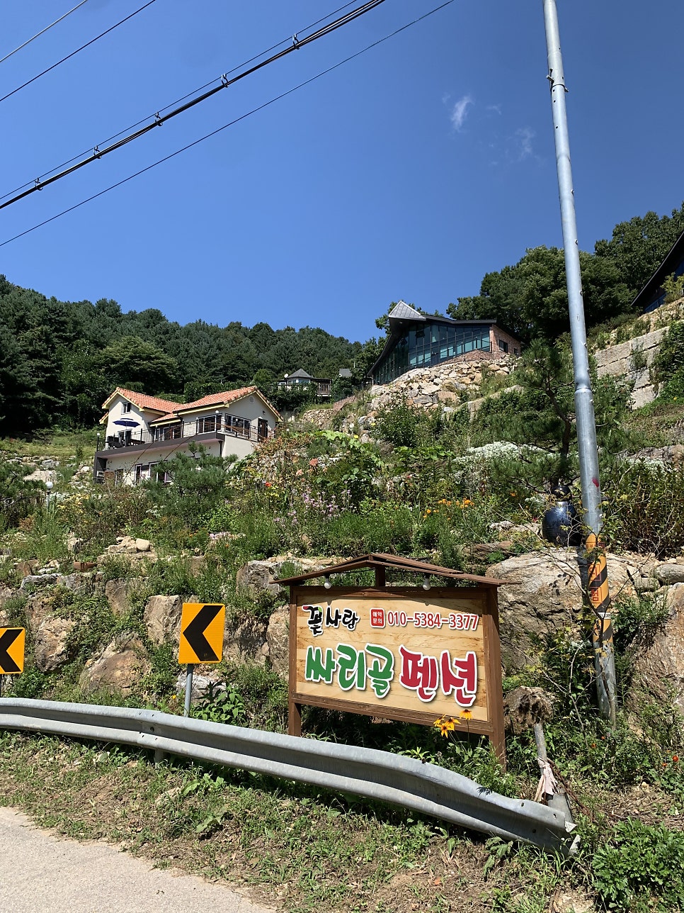 싸리골 사진 5