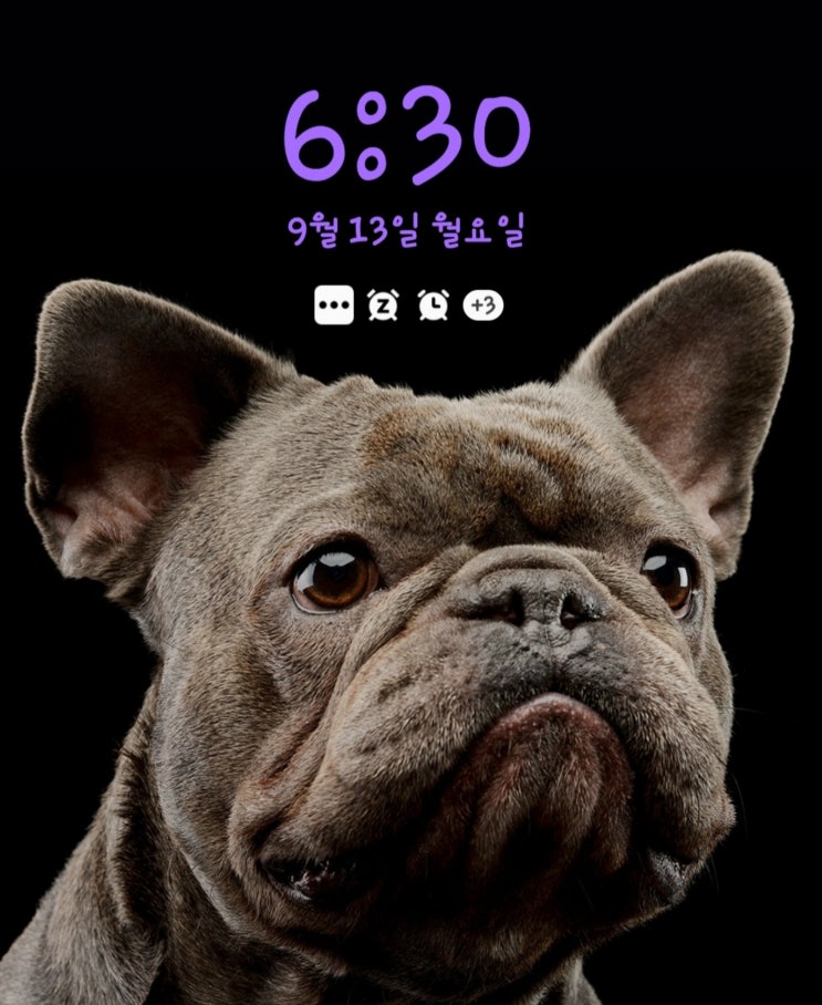  [미라클모닝 D-73] 오늘까지만 봐준다 !!!