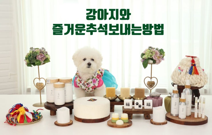  강아지와 추석을 즐기는 다양한 방법 - 한복과 음식