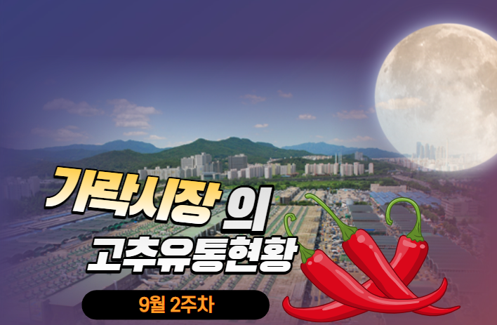  [경매사가 알립니다] 가락시장 9월 2주차 유통현황