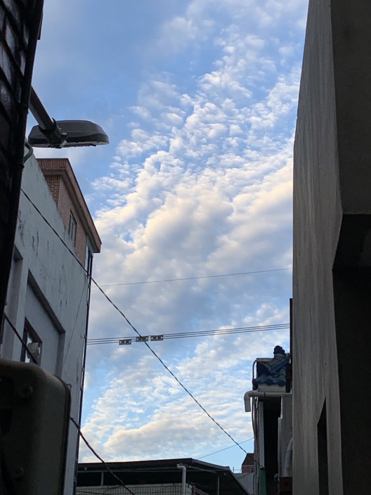  오늘도 다른 여느 날과 같이