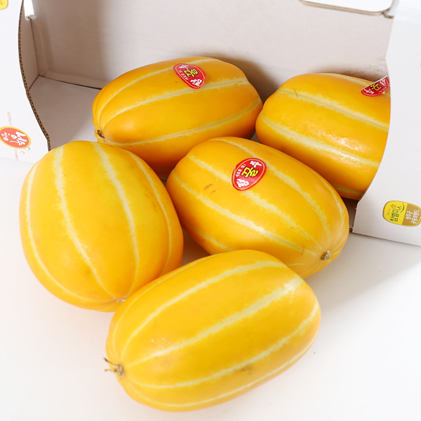많이 찾는 당도선별 성주 꿀참외 5kg 로얄 (15-25과) 좋아요 많이 찾는 당도선별 성주 꿀참외 5kg 로얄 (15-25과) 좋아요