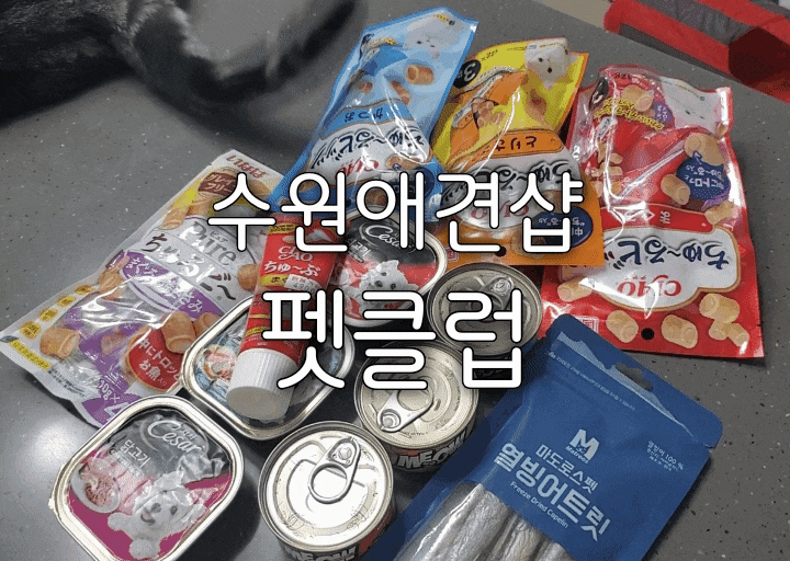 수원애견샵 펫클럽 다양한 용품에 즐거웠던 수원역애견샵 수원애견샵 펫클럽 다양한 용품에 즐거웠던 수원역애견샵