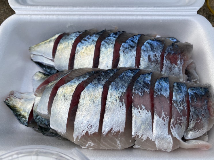  욕지도 맛집 - 바다포차에서 고등어회를 포장했다