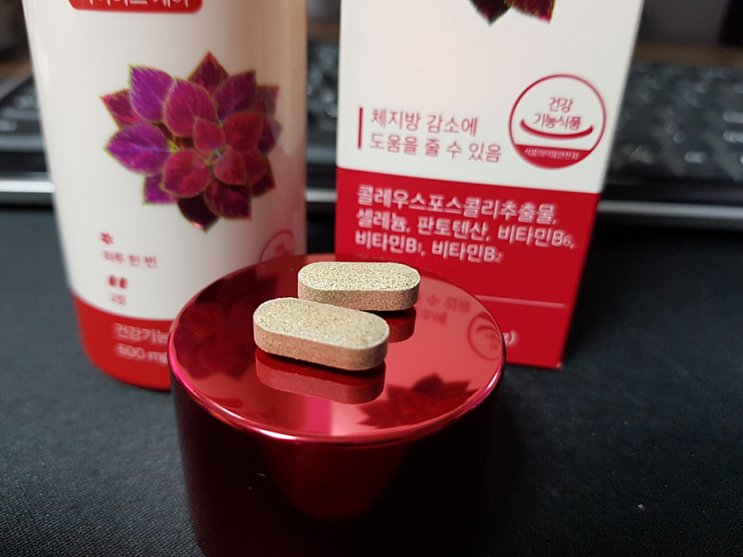 서현 콜레올로지 체지방 감소 칼로리컷팅제 소개 서현 콜레올로지 체지방 감소 칼로리컷팅제 소개