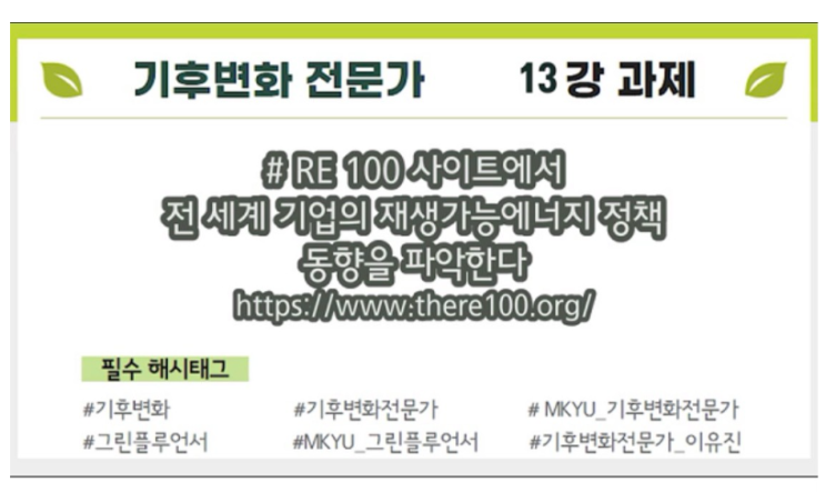  [MKYU 기후변화 전문가] 13강 과제 - RE100 재생 가능 에너지