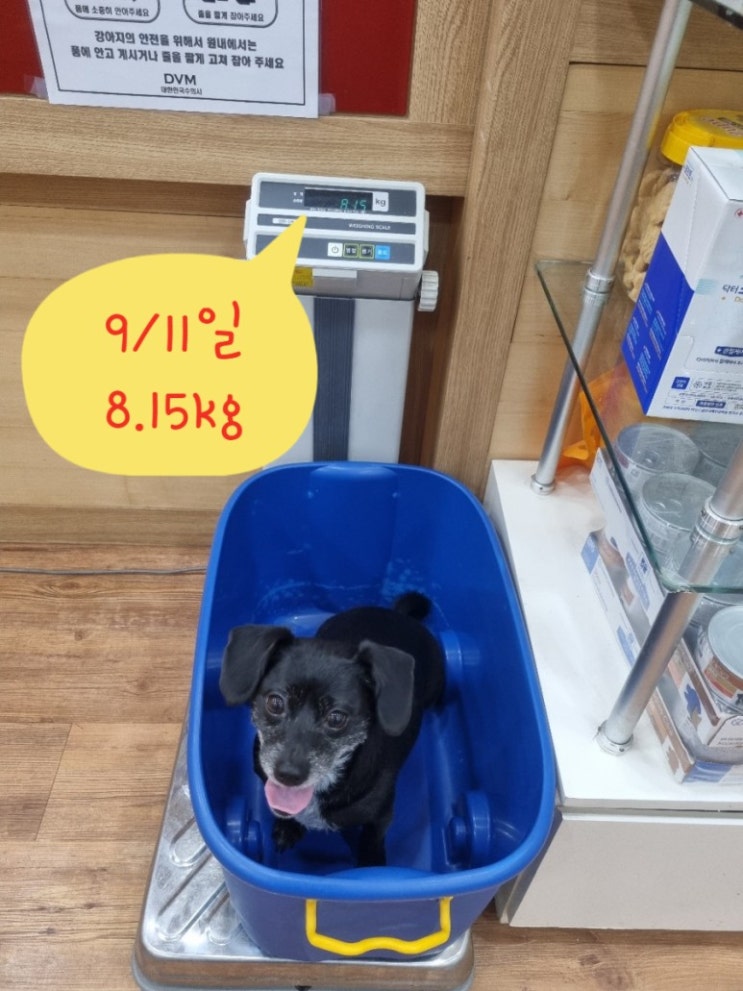강아지 다이어트 사료 닥터힐메딕스 Dr. Healmedix WC 기호성도 좋네. 강아지 다이어트 사료 닥터힐메딕스 Dr. Healmedix WC 기호성도 좋네.
