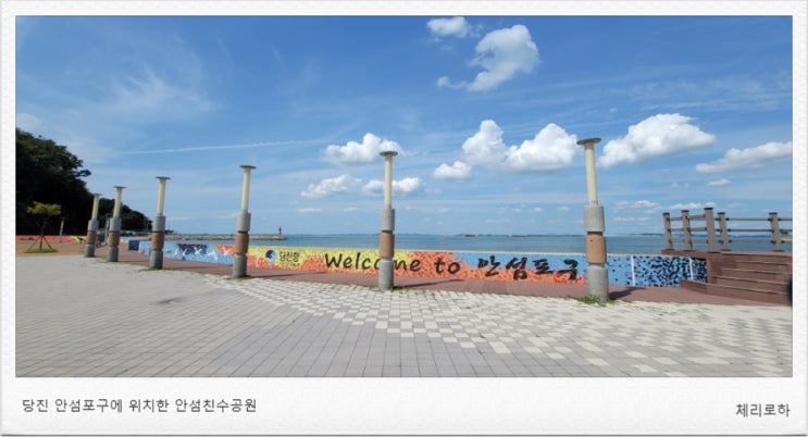  당진 안섬포구 친수공원 차박 캠핑의 성지? 취사 야영 불가로 도로 점령