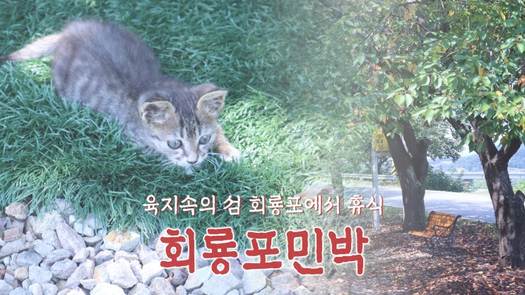 육지속의 섬 회룡포여행 '회룡포민박'에서 휴식 육지속의 섬 회룡포여행 '회룡포민박'에서 휴식