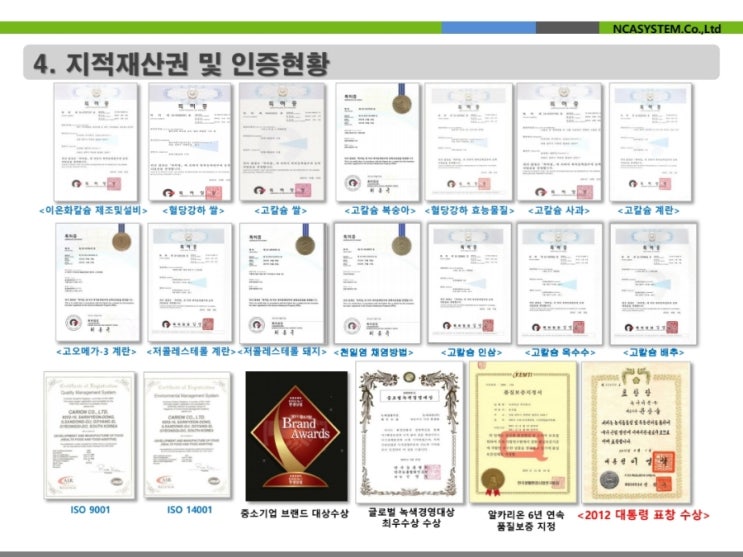  엔카시스템(주)가 소유하고 있는 지식재산권(특허증)