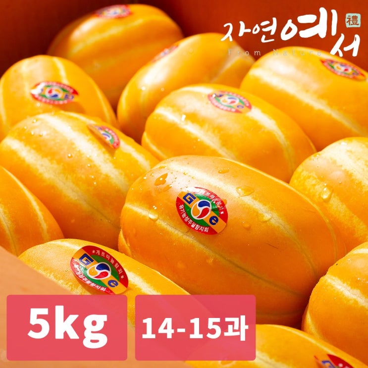 잘나가는 성주 꿀 햇 참외 고당도 5kg (14-15과)당일수확 ···