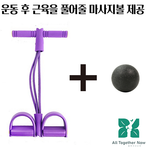 후기가 좋은 물리치료사가 판매하는 올투게더나우 츄잉 전신로잉밴드, 퍼플 ···