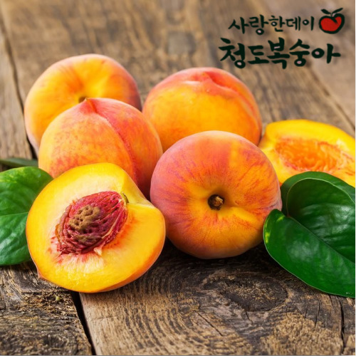 핵가성비 좋은 추천해요 핵가성비 좋은 추천해요