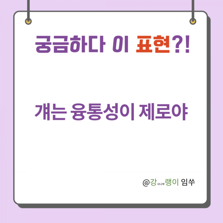  중국어 표현 死心眼儿 걔는 융통성 제로야
