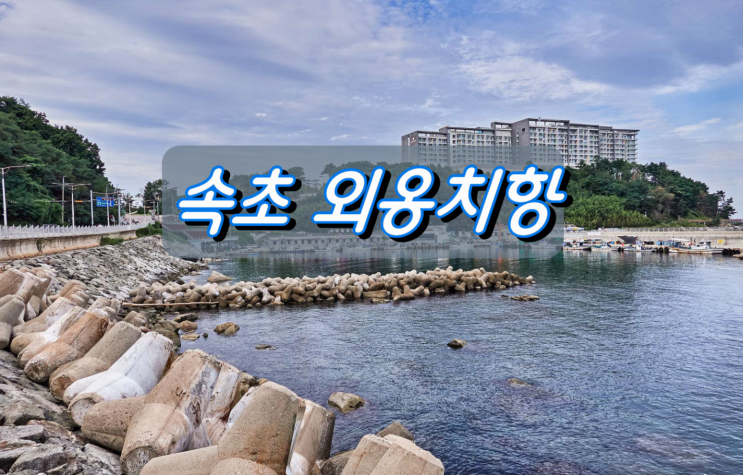 강원도 인기여행지 속초 바다향기로 입구 외옹치항 강원도 인기여행지 속초 바다향기로 입구 외옹치항