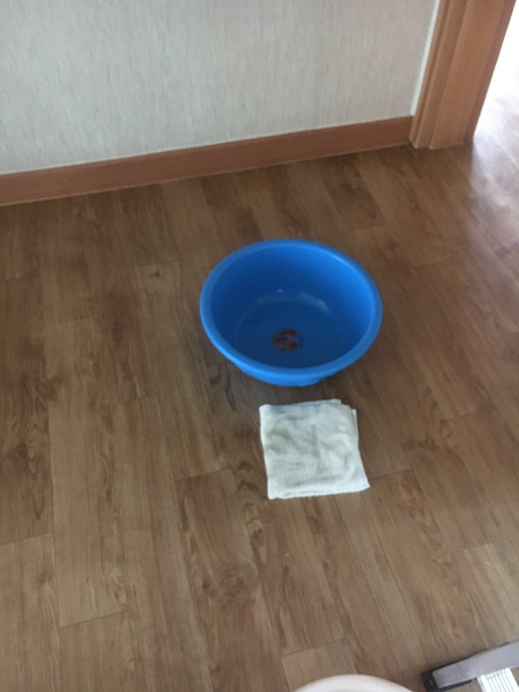  마포구 연남동 아크 빌 화장실 공사입니다.